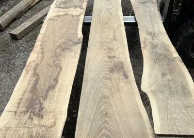 Drei breite Altholz-Eichenbretter auf den Gabeln eines Staplers, die die markante Maserung und die Robustheit des historischen Eichenholzes zeigen.